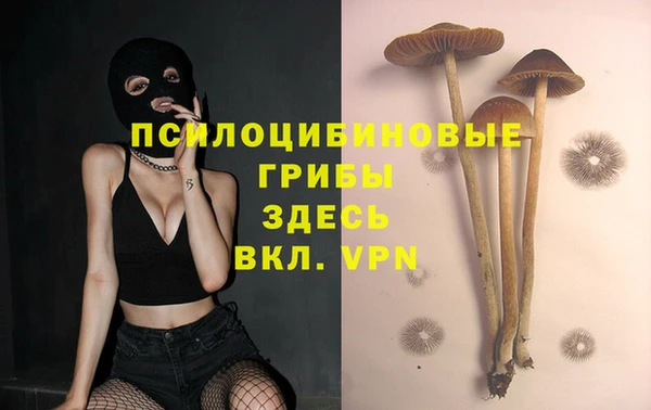 прущий лед Вязьма