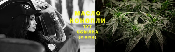 apvp Вяземский