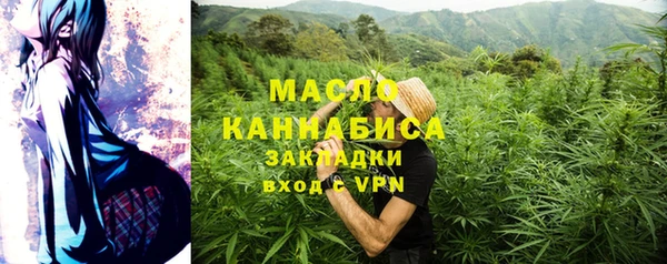apvp Вяземский