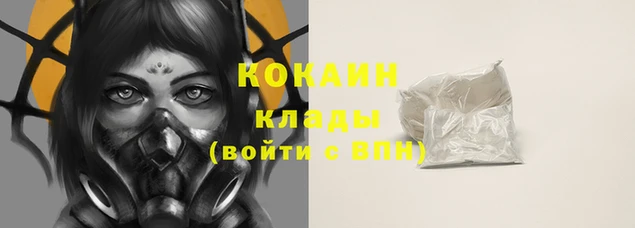 apvp Вяземский