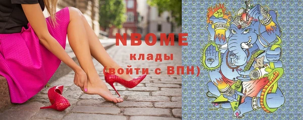 apvp Вяземский