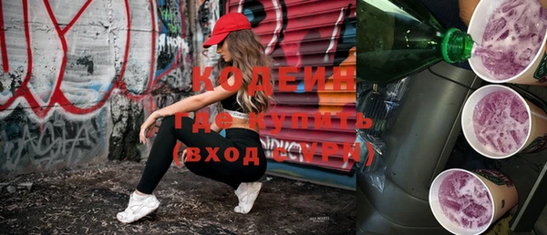 apvp Вяземский