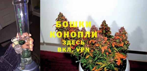apvp Вяземский