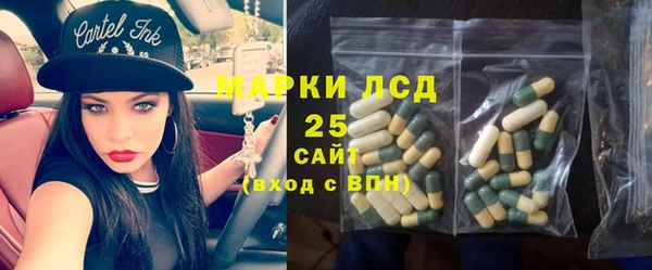 прущий лед Вязьма