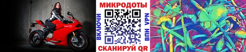 Псилоцибиновые грибы GOLDEN TEACHER  Купить  Трёхгорный 